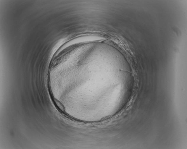 X0000110950003200907101316