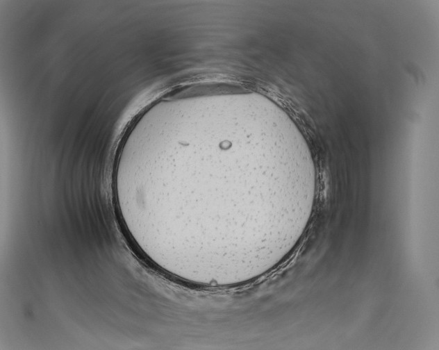 X0000110950004200907101316