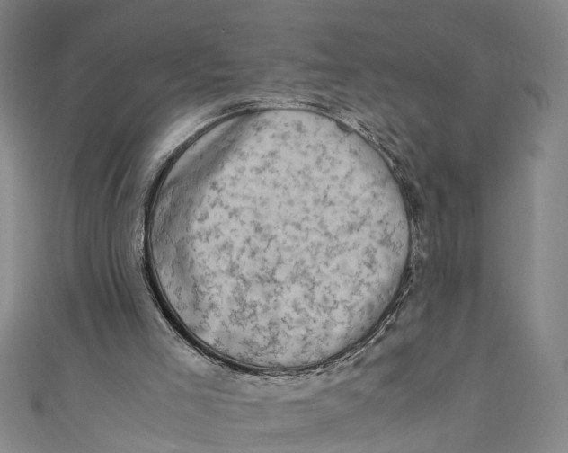 X0000110950005200907101316