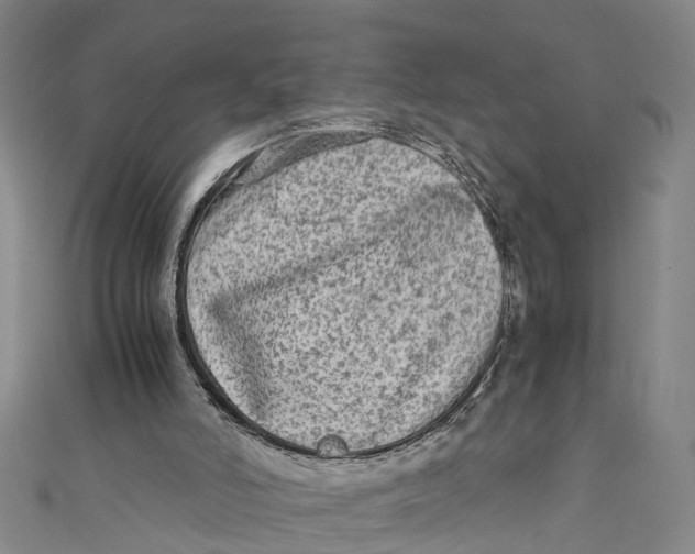 X0000110950006200907101316