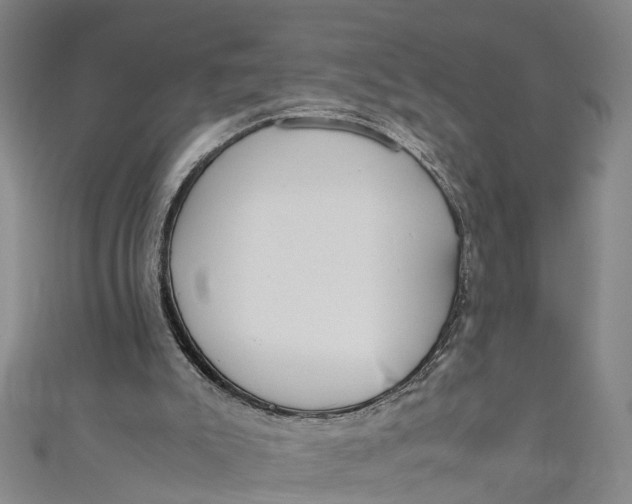 X0000110950007200907101316