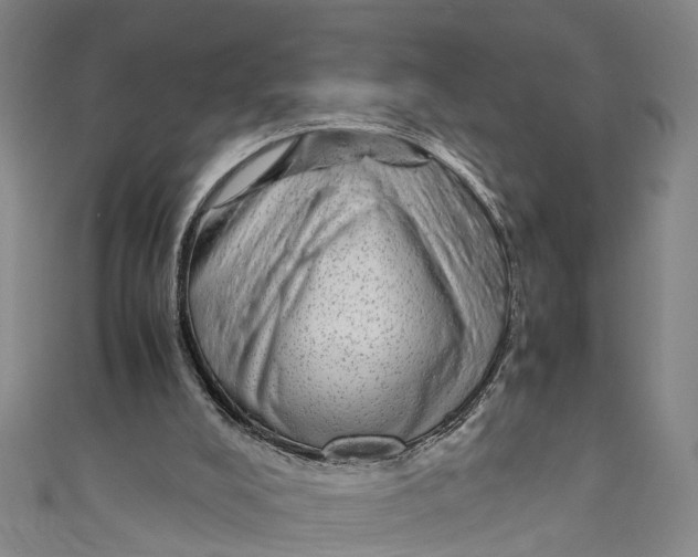 X0000110950008200907101316