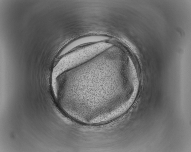 X0000110950009200907101316