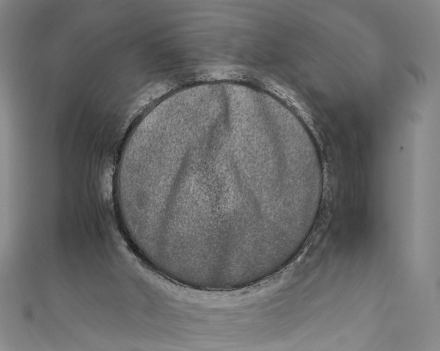 X0000110950010200907101316