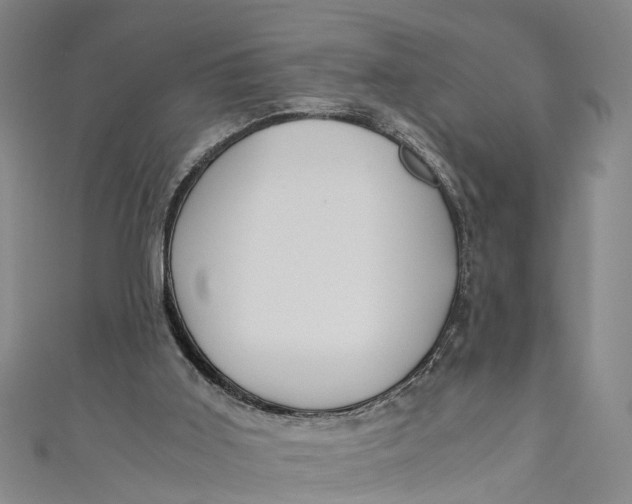 X0000110950011200907101316