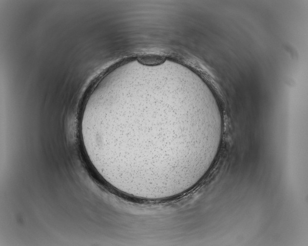 X0000110950012200907101316