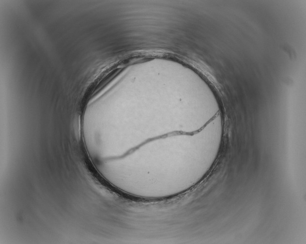 X0000110950013200907101316