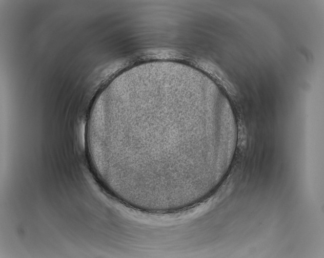 X0000110950014200907101316