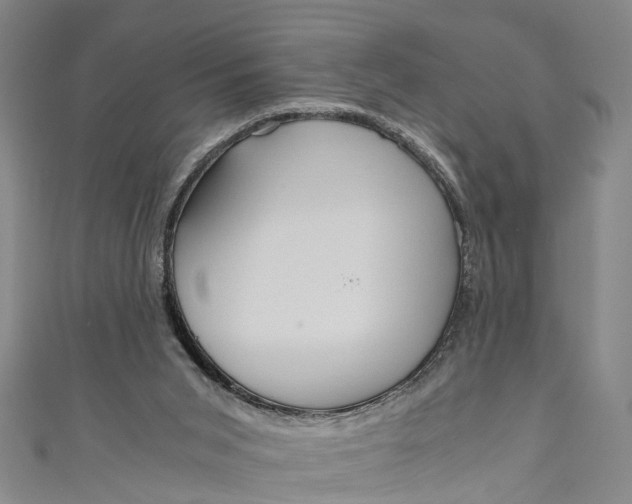 X0000110950015200907101316