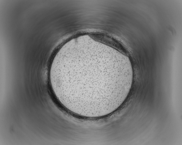 X0000110950016200907101316