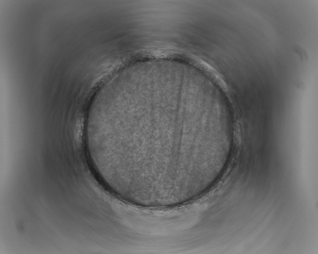 X0000110950018200907101316