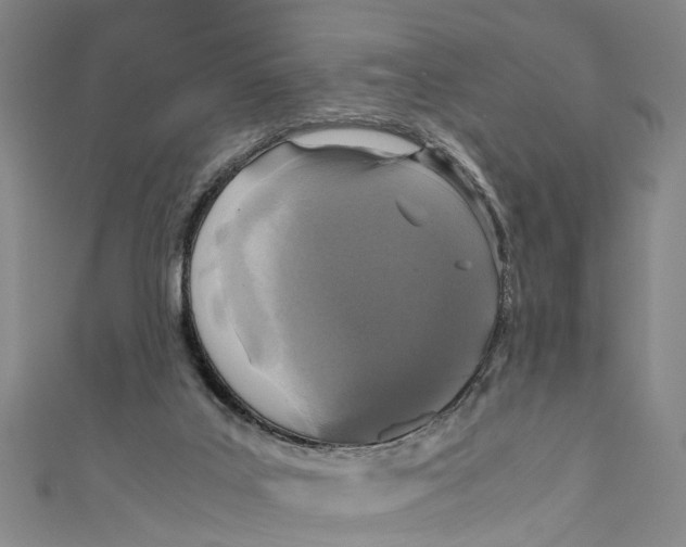 X0000110950019200907101316