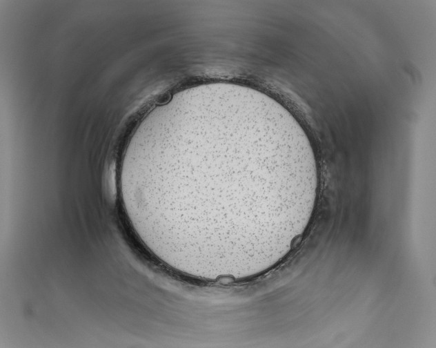 X0000110950020200907101316