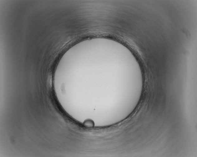 X0000110950021200907101316