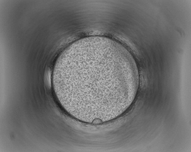 X0000110950022200907101316