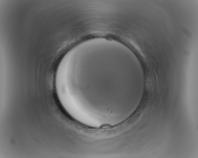 X0000110950023200907101316