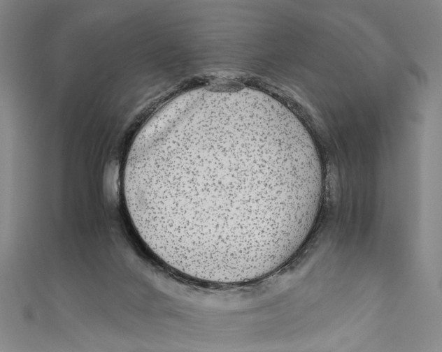 X0000110950024200907101316