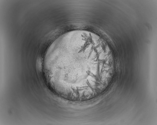 X0000110950026200907101316