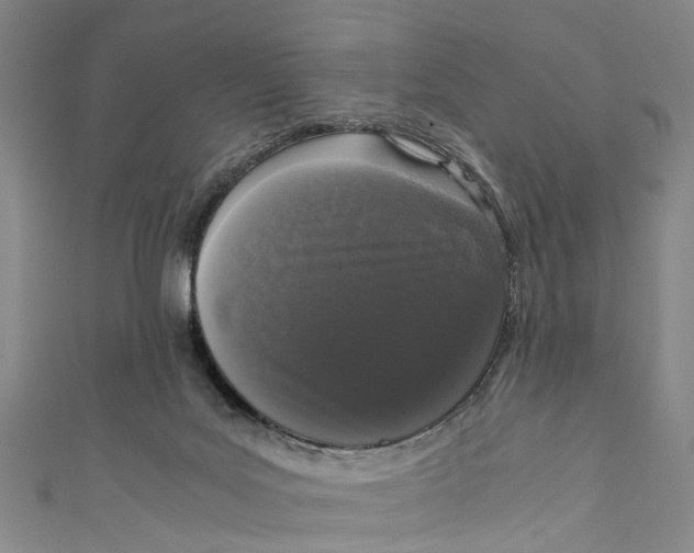 X0000110950027200907101316