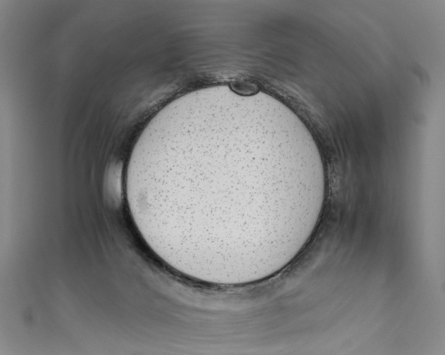 X0000110950028200907101316