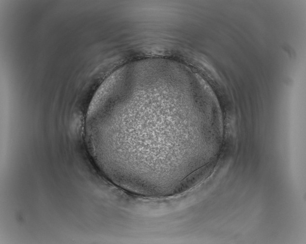 X0000110950029200907101316