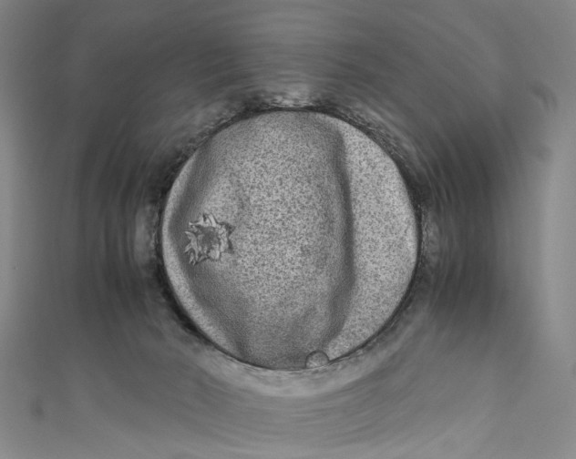 X0000110950030200907101316