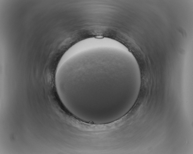 X0000110950031200907101316
