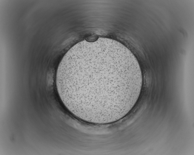 X0000110950032200907101316