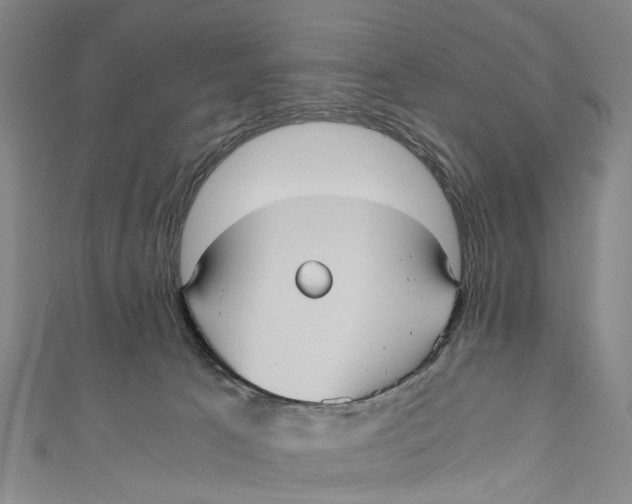 X0000110950033200907101316