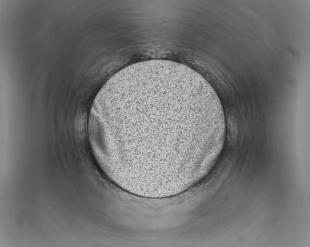 X0000110950034200907101316