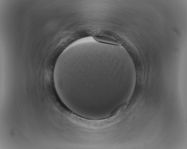 X0000110950035200907101316