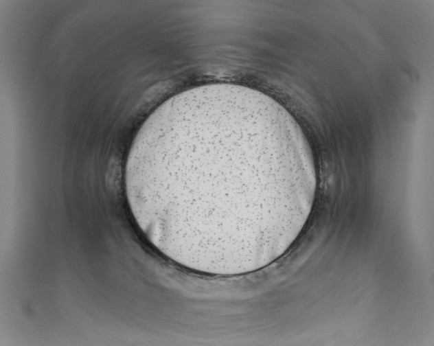 X0000110950036200907101316