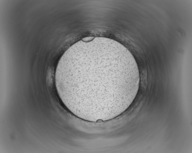 X0000110950038200907101316