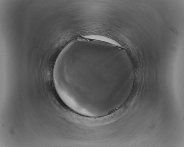 X0000110950039200907101316
