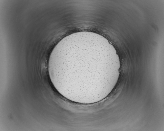 X0000110950040200907101316