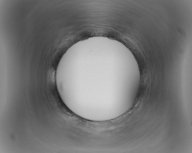 X0000110950041200907101316