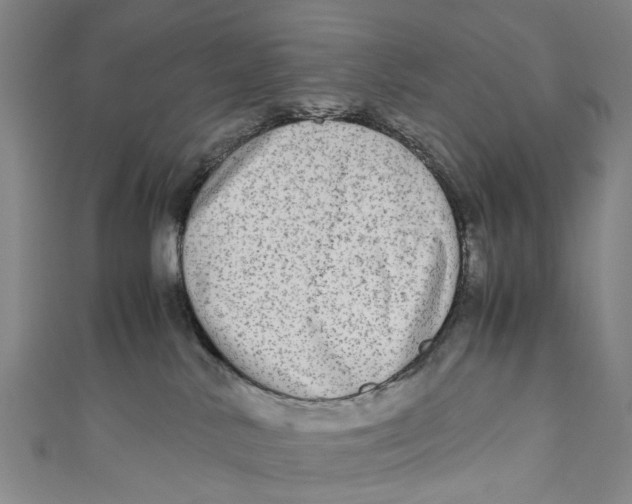 X0000110950042200907101316