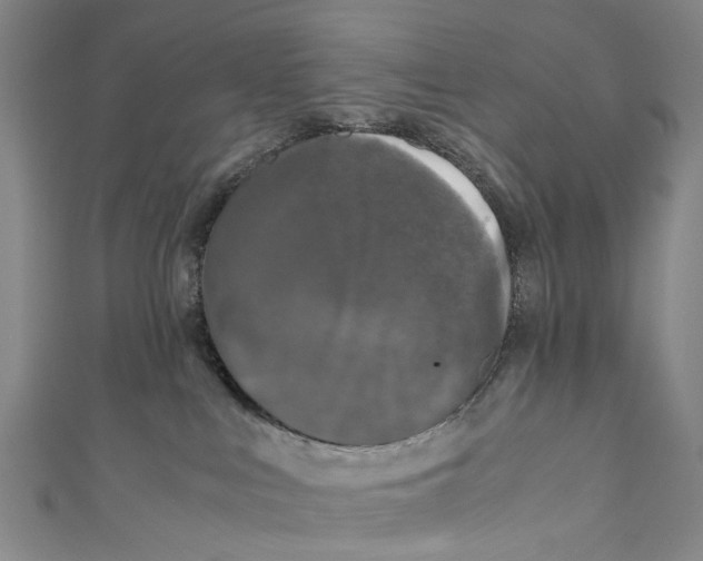 X0000110950043200907101316