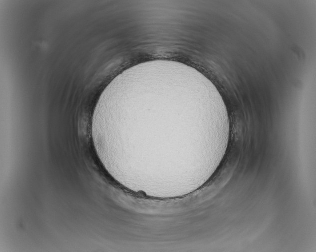 X0000110950044200907101316