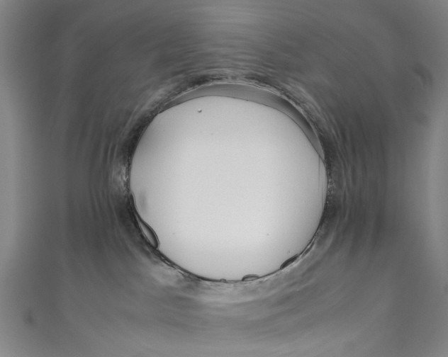 X0000110950045200907101316
