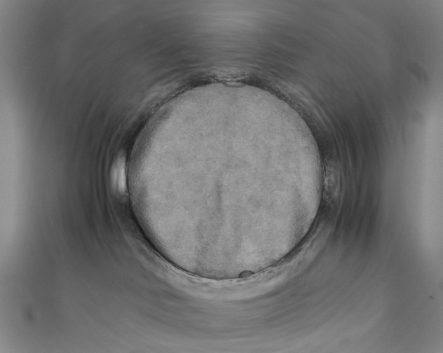 X0000110950046200907101316