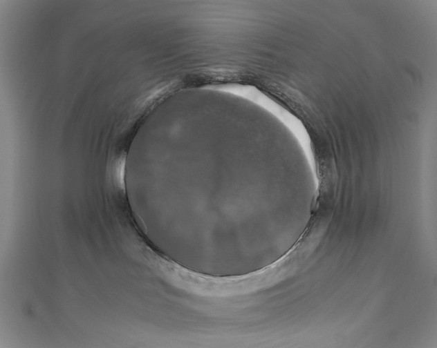 X0000110950047200907101316