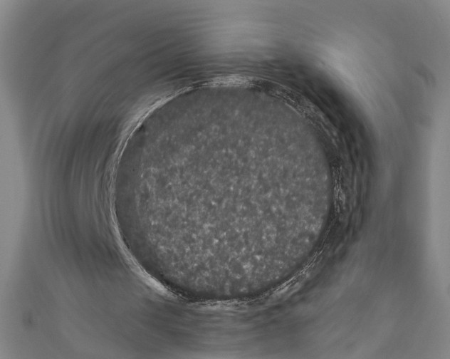 X0000110950049200907101315