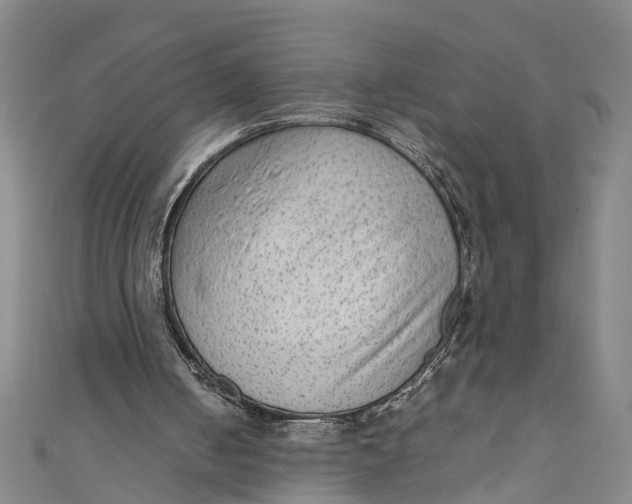 X0000110950050200907101315