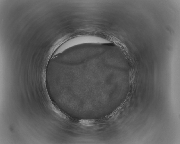 X0000110950051200907101315