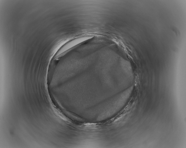 X0000110950052200907101315