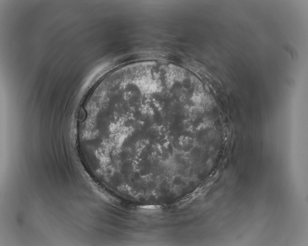 X0000110950053200907101315