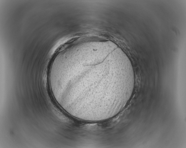 X0000110950054200907101315