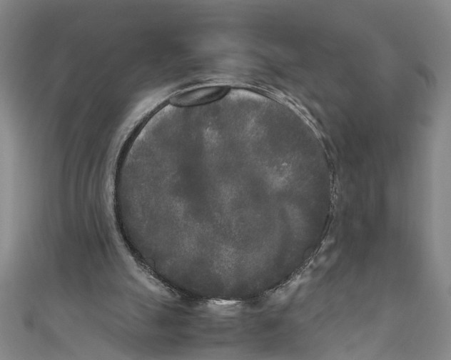 X0000110950055200907101315