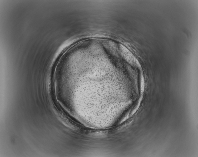 X0000110950056200907101315